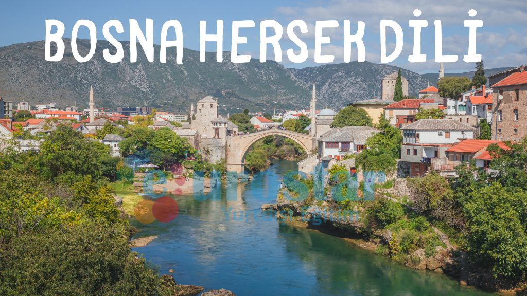 bosna hersek dili