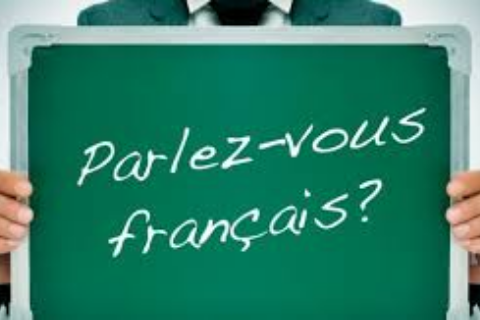 Fransız Dili ve Edebiyatı